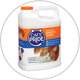 CatPride Litter 9