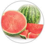 Watermelon 12