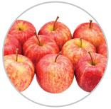 apples 32