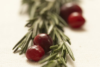 fresh cranberries vaccinium macro carpon 112114